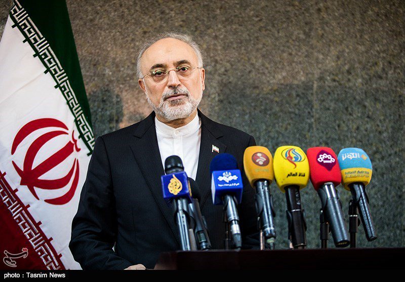صالحی: ایران هوشیار ضرری از مکر آمریکا نمی‌بیند/ پیشبرد سیاست خارجی ایران در نهایت عقلانیت