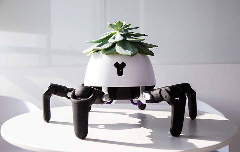 این ربات می‌تواند جان گیاهان شما را نجات دهد