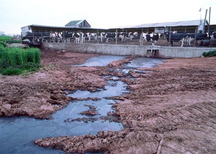 کشاورزی دیروز چگونه موجب آلودگی امروز آب می‌شود؟