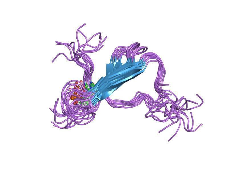 پروتئین تائو / tau protein