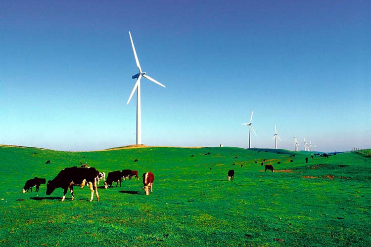 سرمایه گذاری ۱۴۶ میلیون دلاری برای تاسیسات انرژی تجدیدپذیر در یک ایالت استرالیا