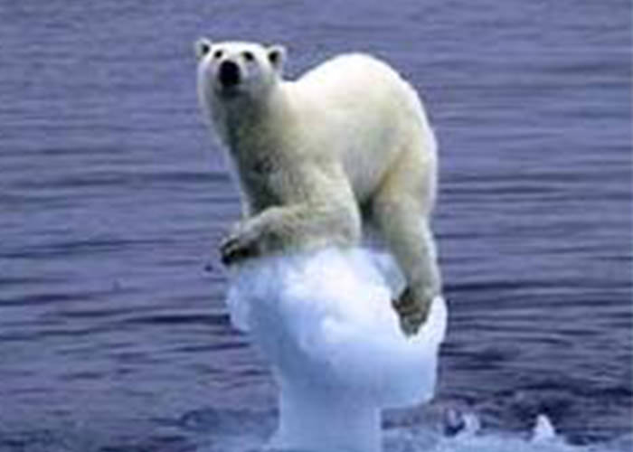 خرس های قطبی به سرعت در حال انقراض هستند