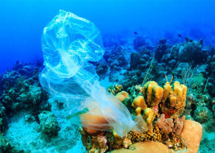 زباله‌های پلاستیکی، تهدیدی جدید برای صخره‌های مرجانی