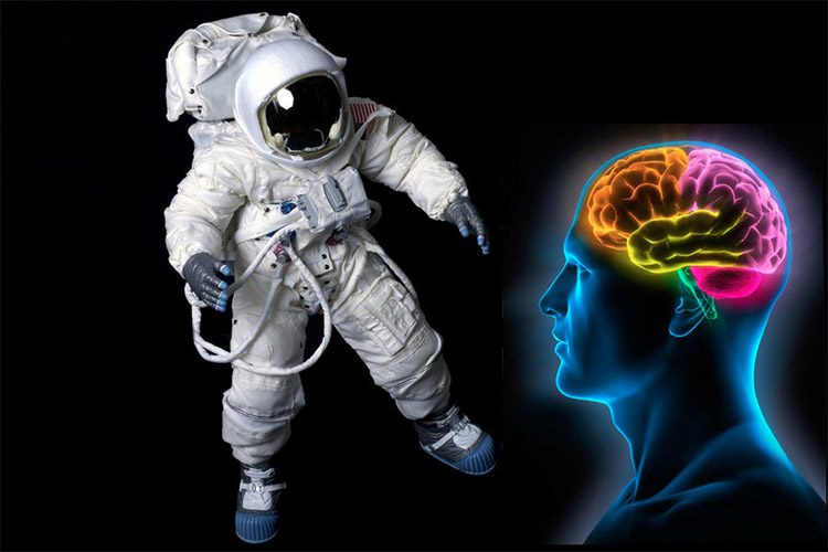 زندگی طولانی مدت در فضا تأثیر باورنکردنی روی ساختار مغز می‌گذارد