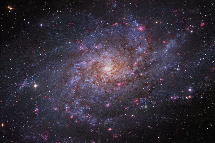 triangulum galaxy