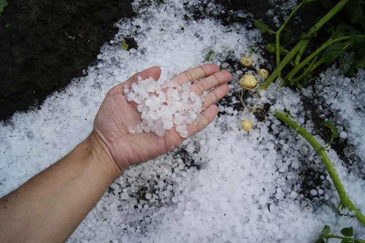 بررسی ۱۰ باور نادرست و همه‌گیر درمورد شرایط جوی و مسائل اقلیمی