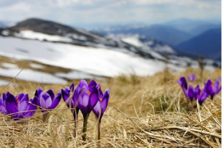 در روز اول بهار چه اتفاقی برای مدار چرخش زمین می‌افتد