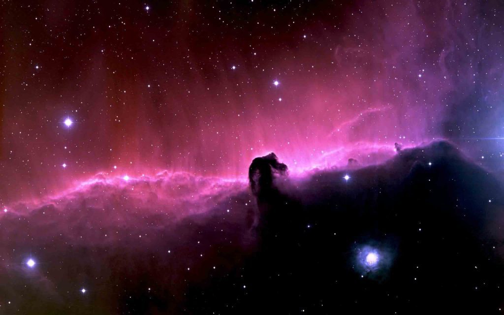 horsehead