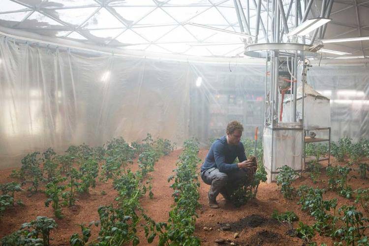 شروع تحقیقات ناسا برای کشت و پرورش سیب زمینی در مریخ