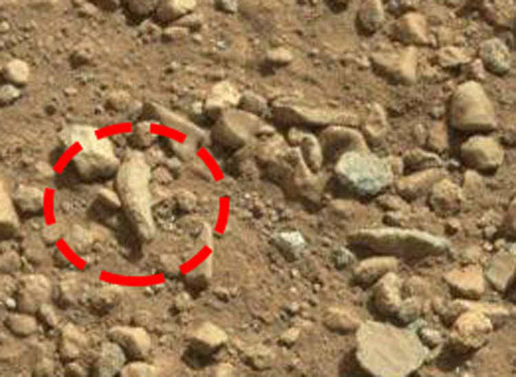 Mars 5