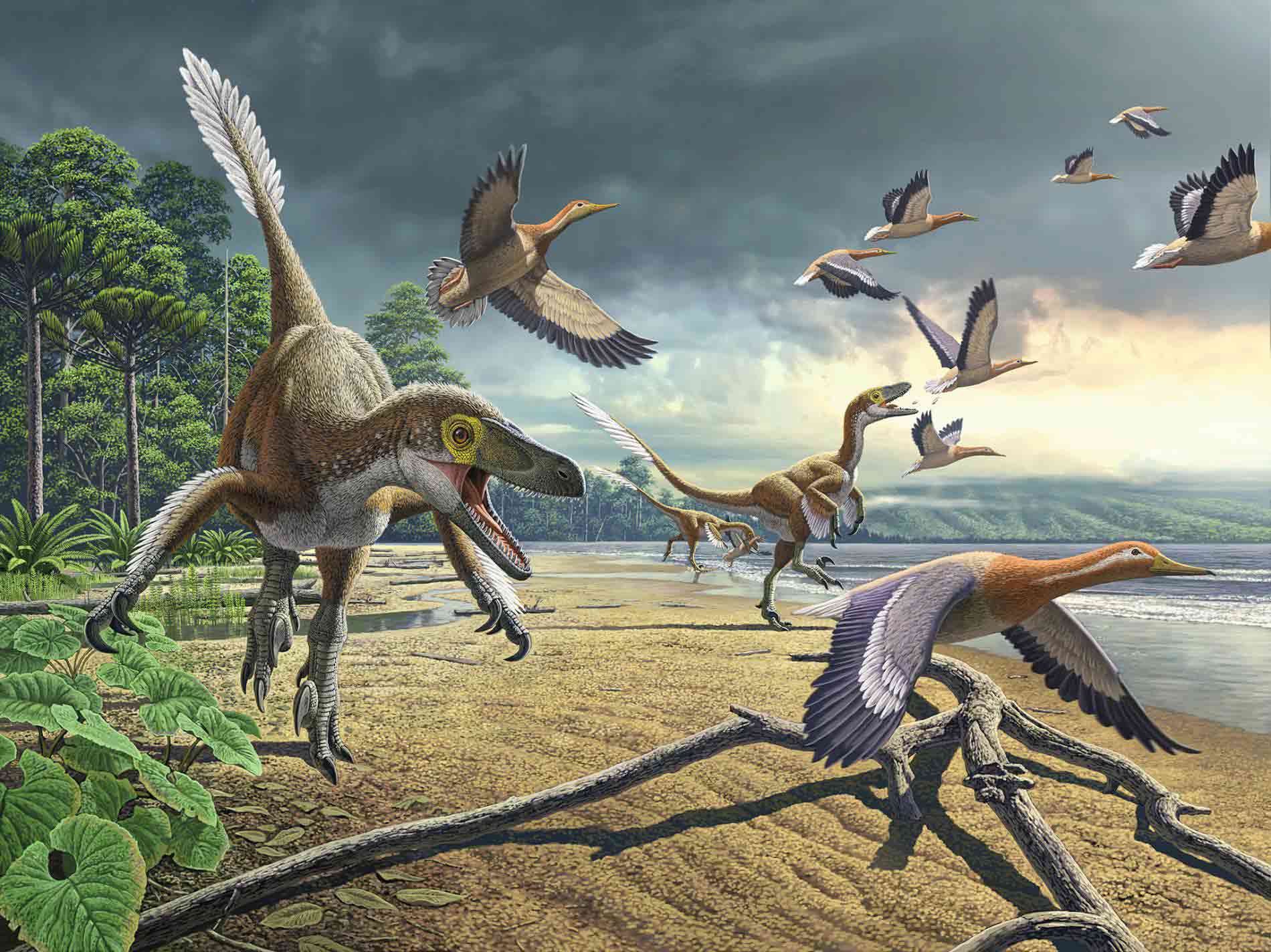 تبدیل دایناسورها به پرنده/ dinosaurs became birds