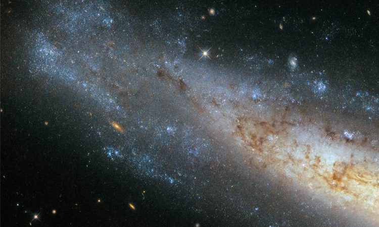 The spiral galaxy NGC 1448