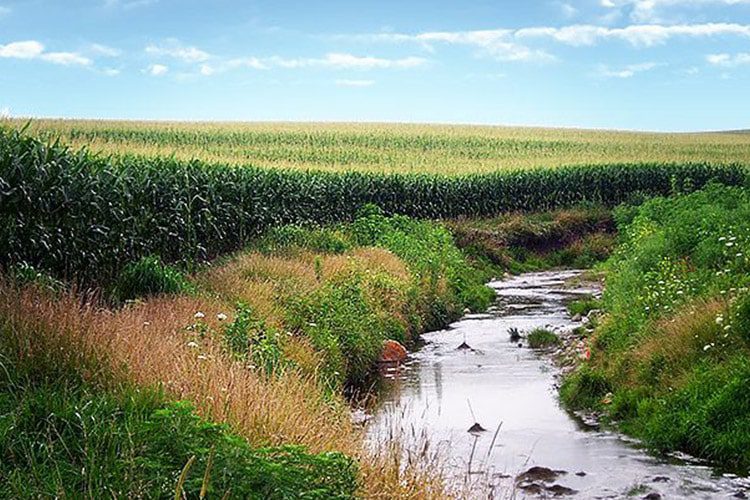 تاثیر درازمدت فعالیت‌های کشاورزی روی کیفیت آب
