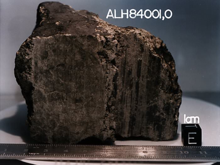 ALH84001-meteorite