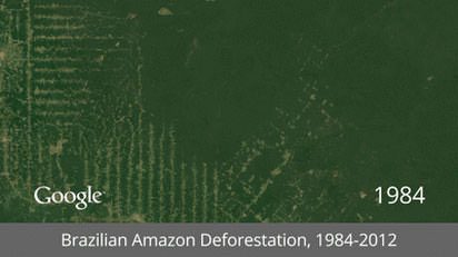 Brazilian-Amazon-Deforestation-thumb-650x364-120978