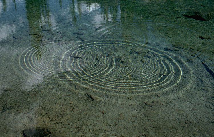 موج های آب
