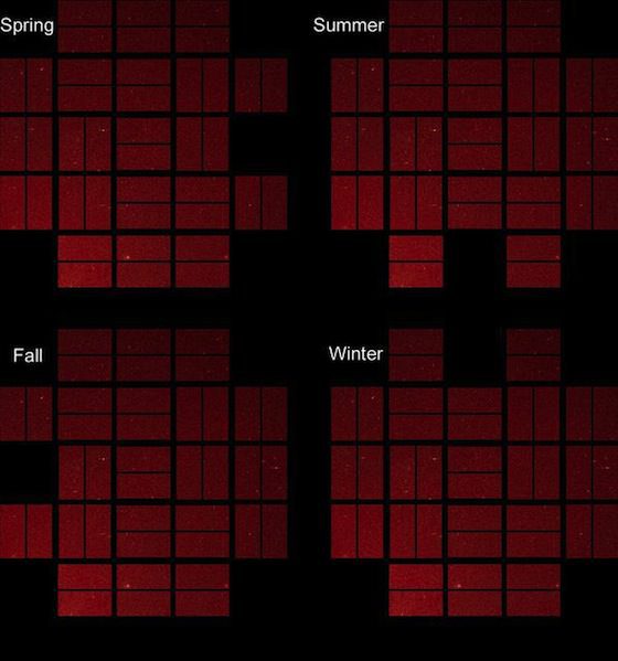 kepler-field-of-view-seasons