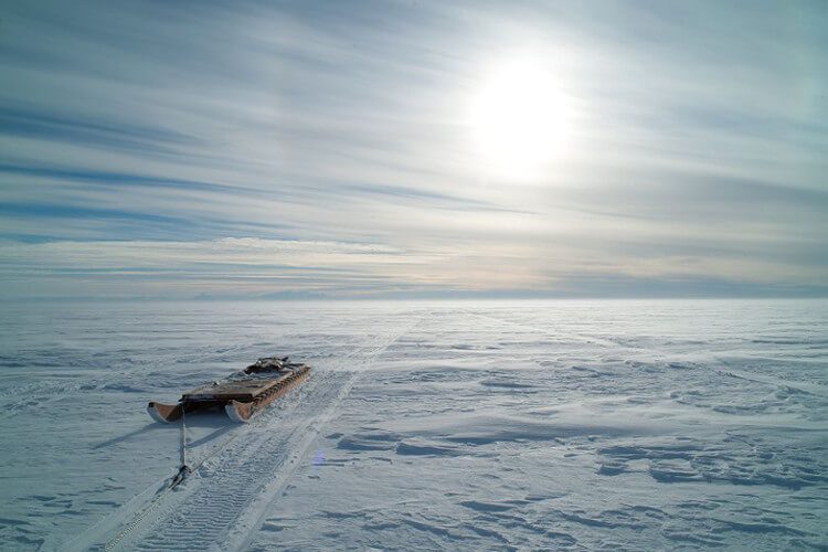 کشف عجیب از موجودات زنده در دریاچه گمشده قطب جنوب